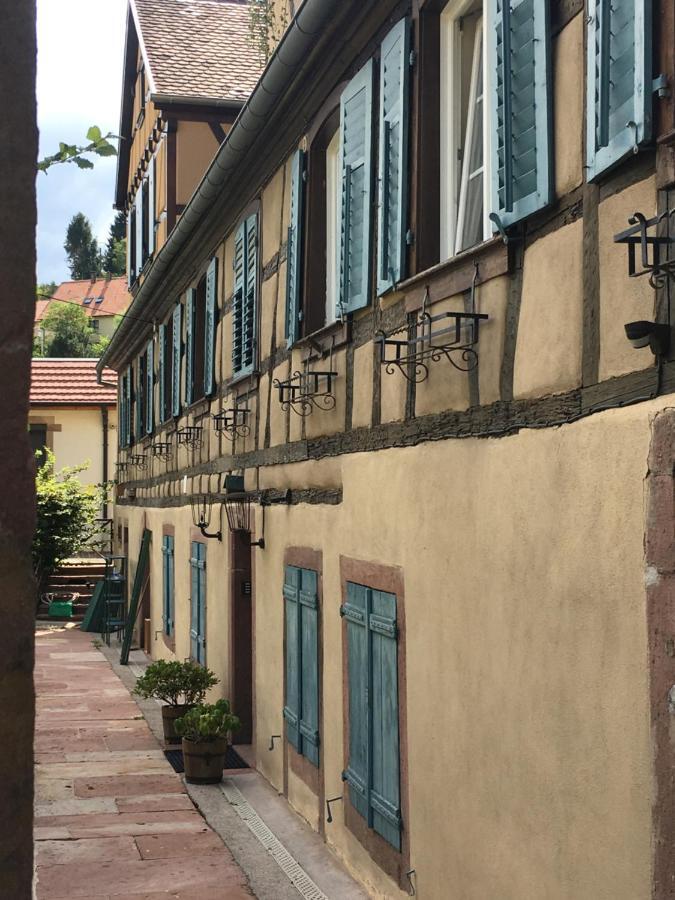 Le Gite Du Moulin リボーヴィレ エクステリア 写真