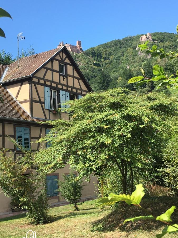 Le Gite Du Moulin リボーヴィレ エクステリア 写真